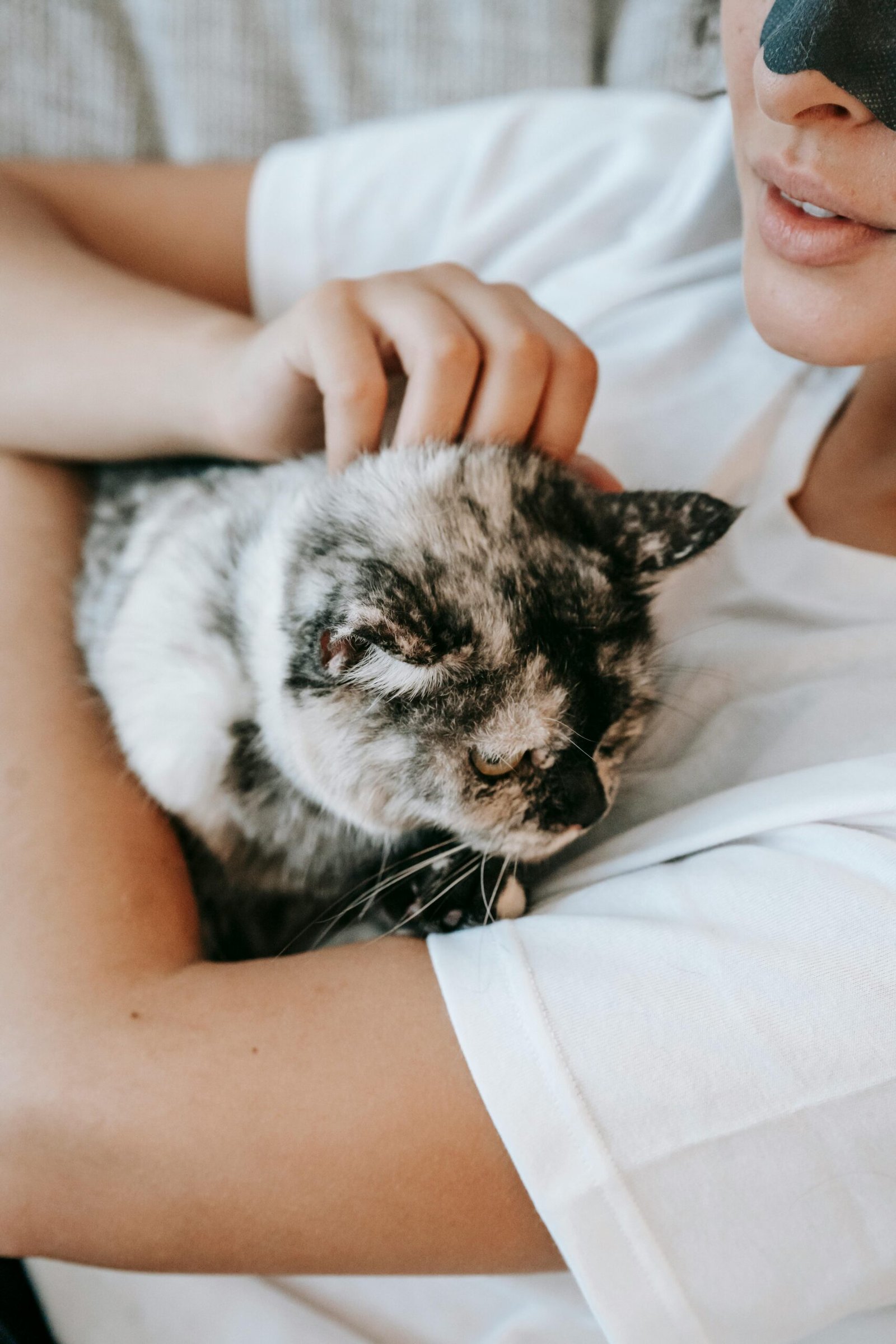 A young woman relaxes indoors, caressing her adorable cat, creating a serene and comforting scene.