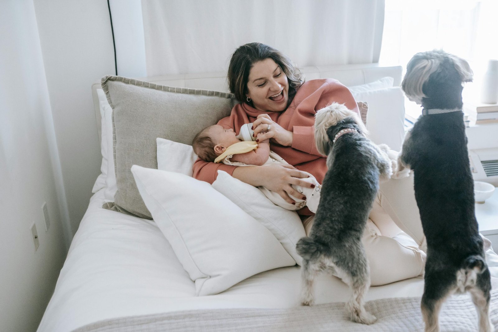 Happy mother feeding baby on bed surrounded by playful dogs indoors.